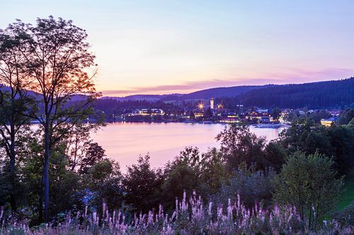 Titisee in het Zwarte Woud