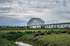 Railway bridge over river Rhine near Arnhem by Patrick Verhoef