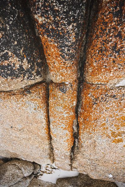 Bay of Fires: A Mosaic of Colour and Nature by Ken Tempelers