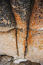 Bay of Fires: A Mosaic of Colour and Nature by Ken Tempelers thumbnail