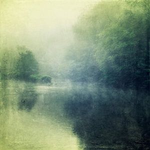Rivière et forêt dans le brouillard