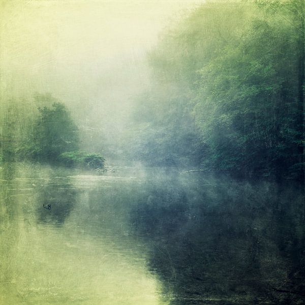 Fluß und Wald im Nebel von Dirk Wüstenhagen