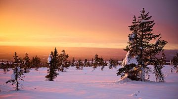 Sonnenuntergang im Schnee von Marloes van Pareren