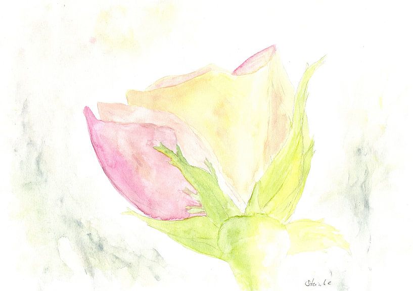 Tenderness by Sandra Steinke