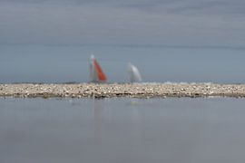 Shell Coast by Rene van Rijswijk