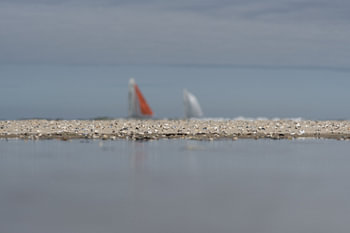Côte de la Shell