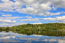 Uferlandschaft Schwackenreuter Seen bei Mühlingen von BlattArt - Christine Horn