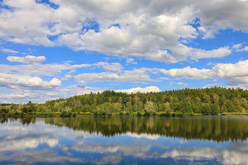 Shore landscape of the Schwackenreuter Lakes near Mühlingen