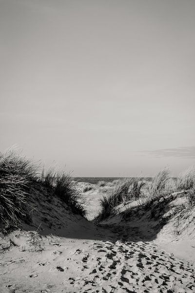 Black-and-white photo of the beach by Lydia