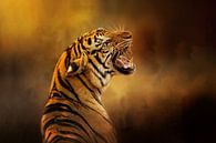 Majestic Roaring Tiger In Vibrant Orange And Brown by Diana van Tankeren thumbnail
