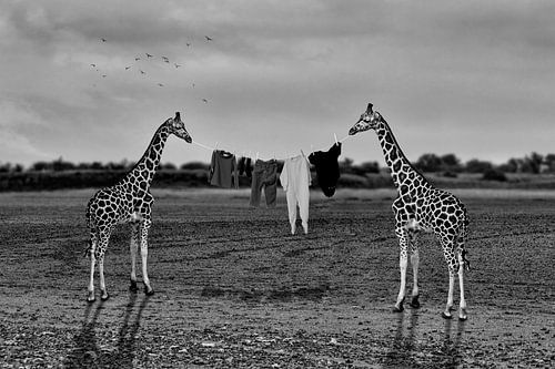 Wäsche trocknen in Afrika - Schwarzweiss