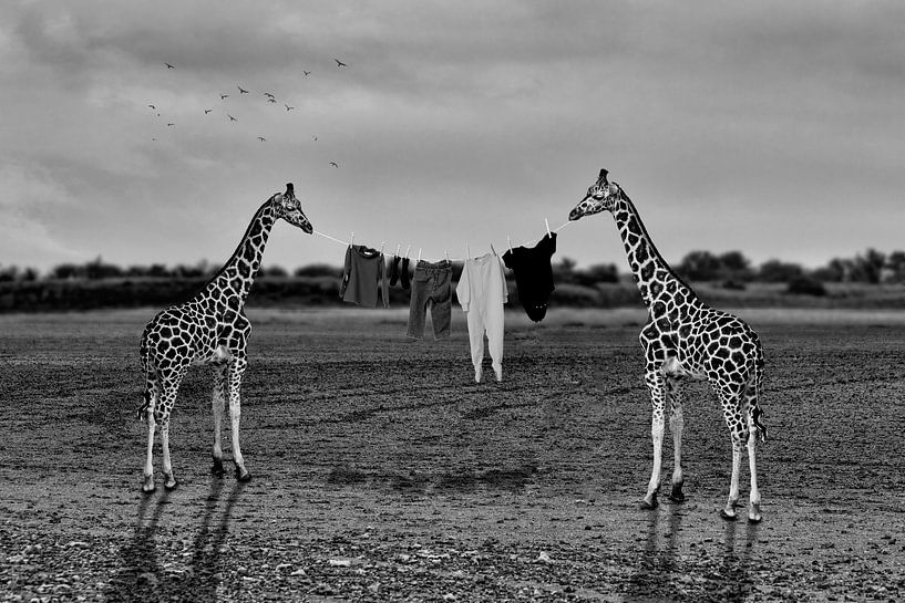 Séchage du linge en Afrique - en noir et blanc par Ursula Di Chito