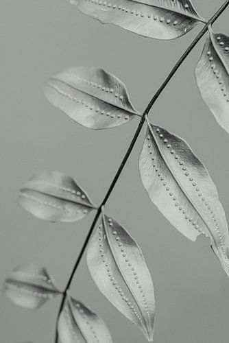 Botanical Surface Detail