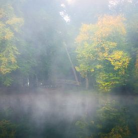 Passerelle dans le brouillard sur Rob Sprenger