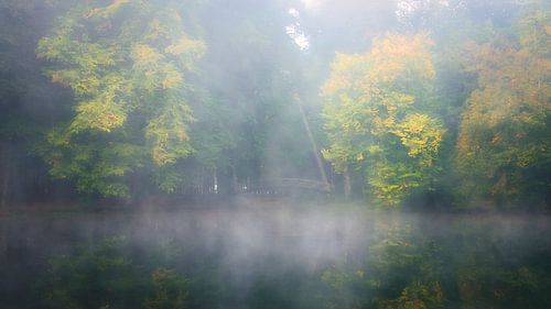 Footbridge in the fog
