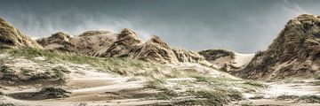 duin tijdens storm langs de Nederlandse kust van eric van der eijk