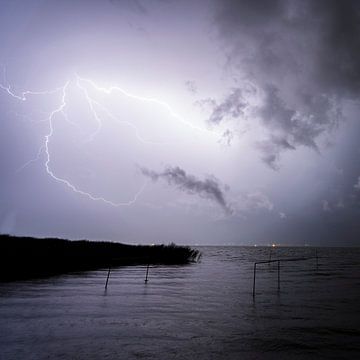 Blitze und Gewitter am Balaton in Ungarn. Abends Nachts von Daniel Pahmeier