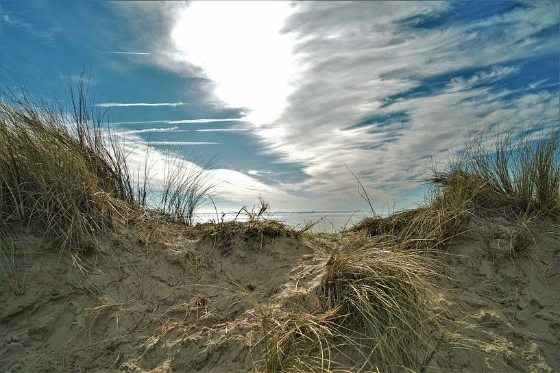 In de Duinen van de Zeeuwse Kust (Vlissingen) van DoDiLa Foto's