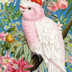 Pink Cockatoo by Marja van den Hurk