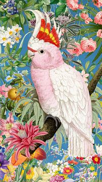 Pink Cockatoo by Marja van den Hurk