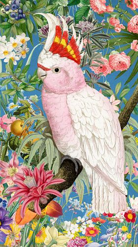 Pink Cockatoo von Marja van den Hurk