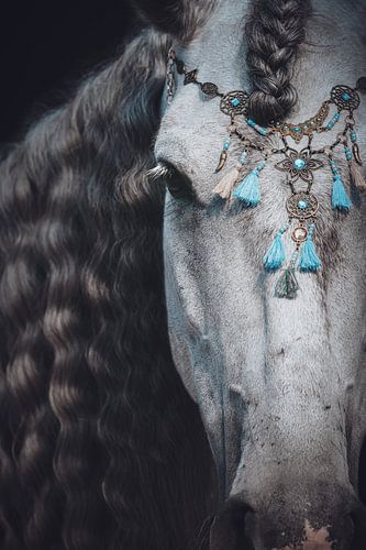 Close up Fine art portret paard blauwe sieraden van Shirley van Lieshout