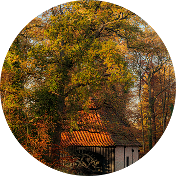 De Noordmolen van Twickel in de herfst van Arnoud van der Aart