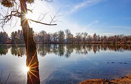 Doppelter Sonnenschein am Salzachsee in Liefering von Christa Kramer