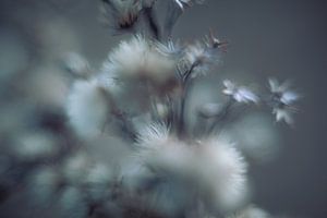 kunstvolle analoge Blumen