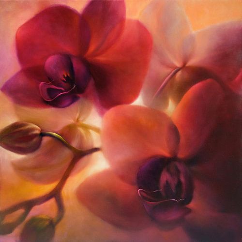 Orchidées sur Annette Schmucker