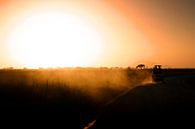 Zonsondergang Kenia van Leon Weggelaar thumbnail