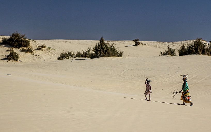 Walking to Dakar von Peter Westerik