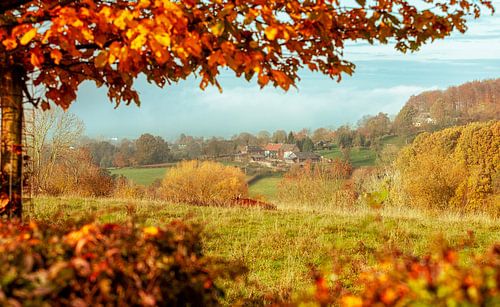 Herfstkleuren op de heuvels van Zuid-Limburg