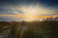 Sonnenuntergang an der Nordsee in der Nähe der Dünen von Petten  von gaps photography Miniaturansicht