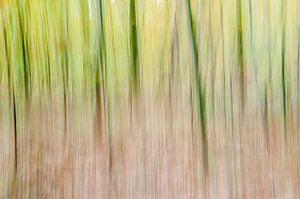 Abstract,Abstrait