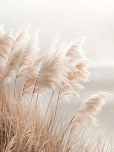 Poesie am Meer - Malerisches Pampasgras
