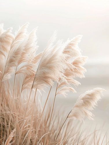 Poëzie aan zee - Pittoresk pampagras