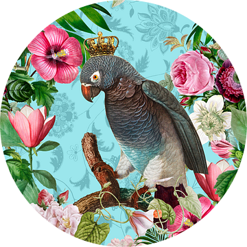 Papegaaienkoning in bloemenparadijs van Andrea Haase