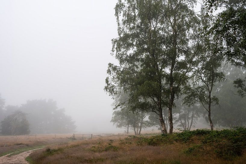 Wolfhezer heide part 6 van Tania Perneel