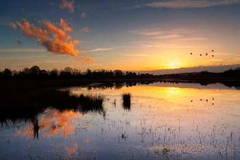 Coucher de soleil sur le champ de Leersum