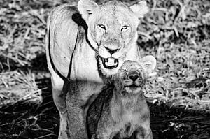 Löwin mit Baby Schwarz und Weiß