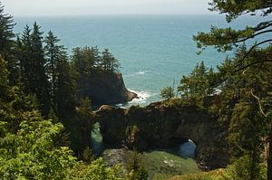 Zerklüftete Küstenlinie, Oregon, USA von Jeroen van Deel