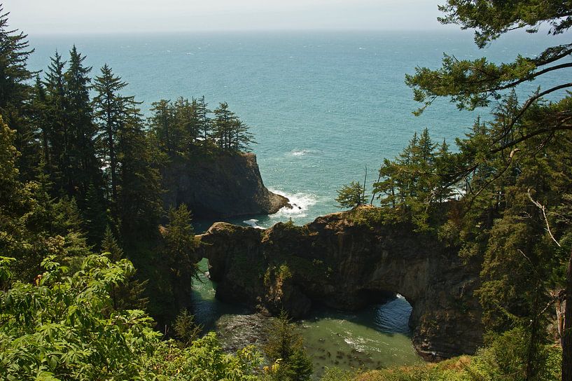 Rugged coastline, Oregon, USA by Jeroen van Deel