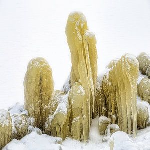 Ice sculpture