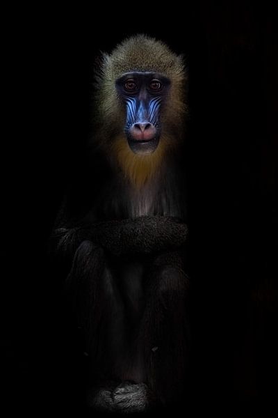 Female madrilla with a blue face and the face of a saint or a yogi in meditation, black background. by Michael Semenov