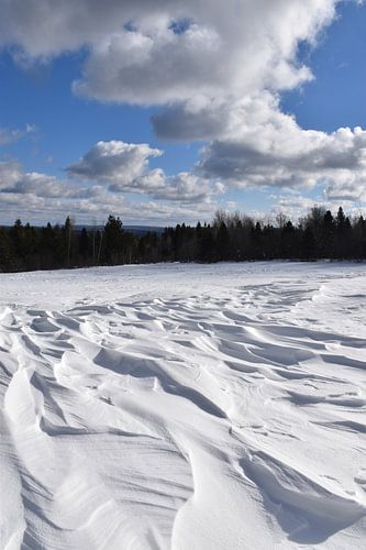 Die Wirkung von Wind auf Schnee