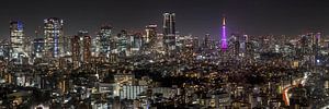 Großartiges Nachtpanorama aus Tokio
