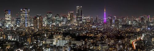 Prachtig nachtpanorama van Tokio