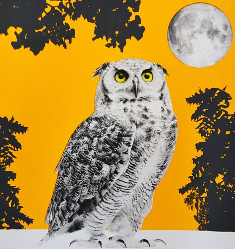 Moonbathing, 2016, (screenprint)