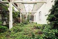 Abandoned hall with plants